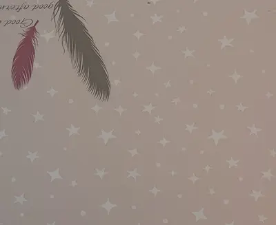 Dreamy Feather Star Wallpaper Red/Pink