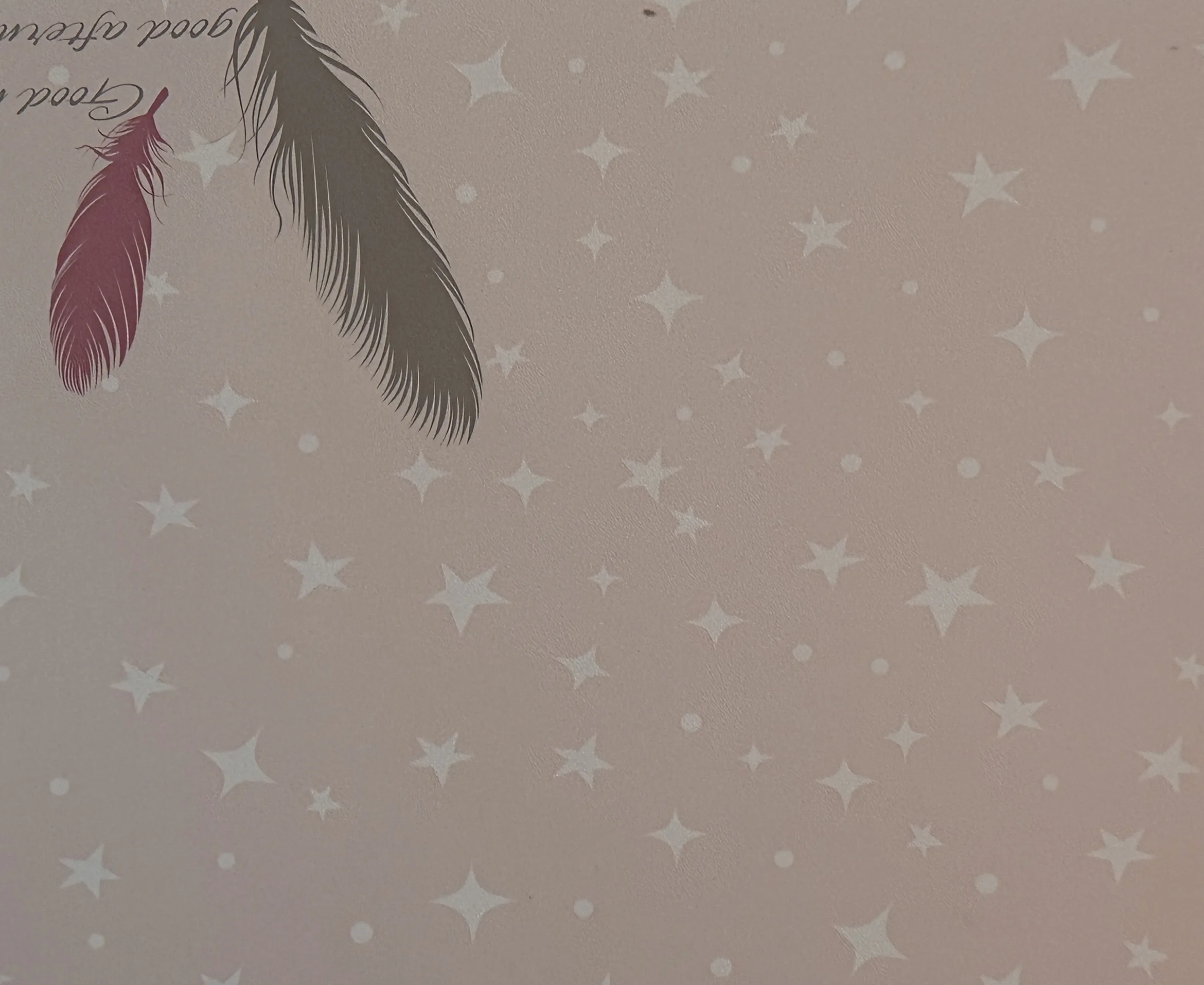 Dreamy Feather Star Wallpaper Red/Pink