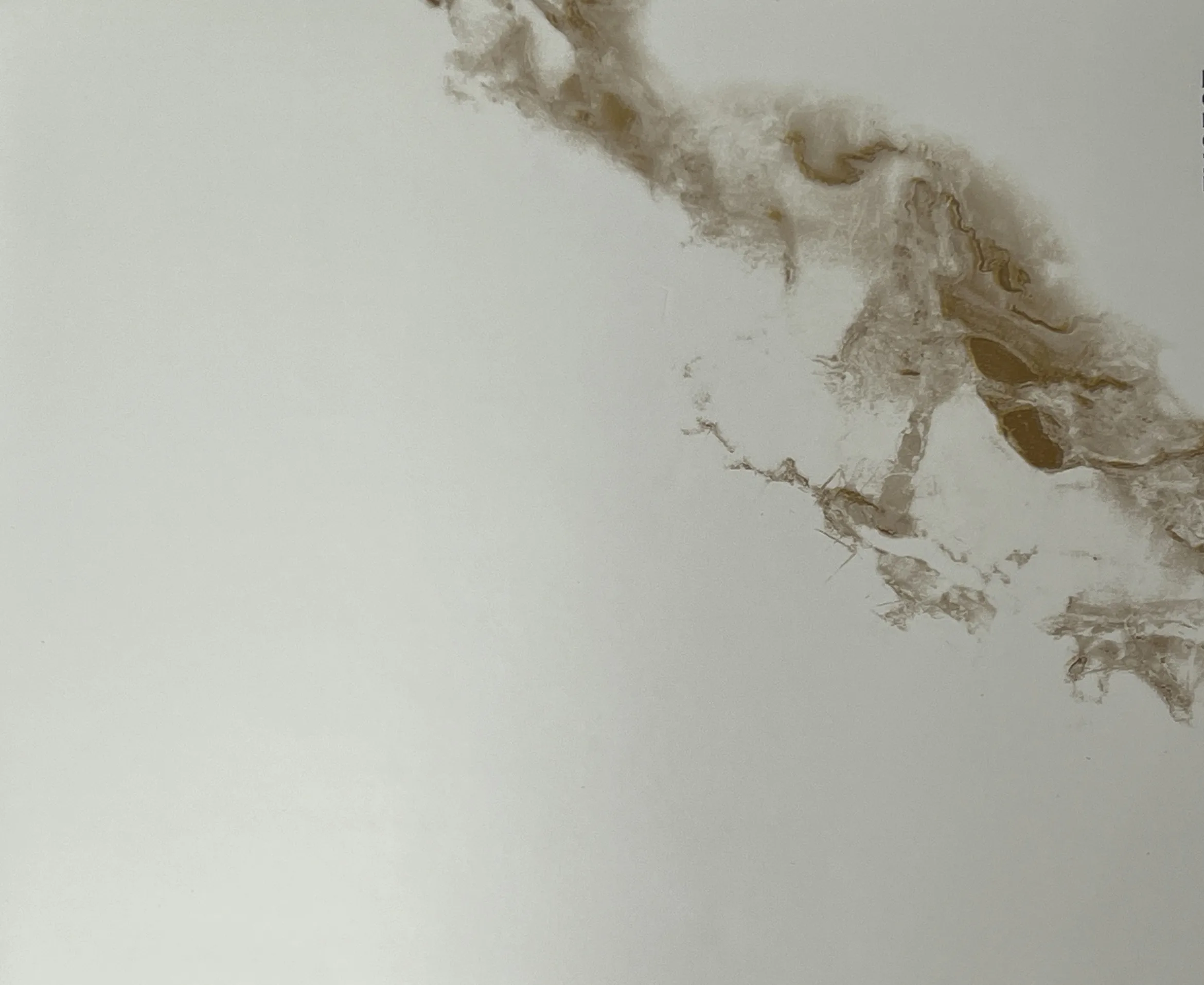 Flowing Wash Cream/Beige