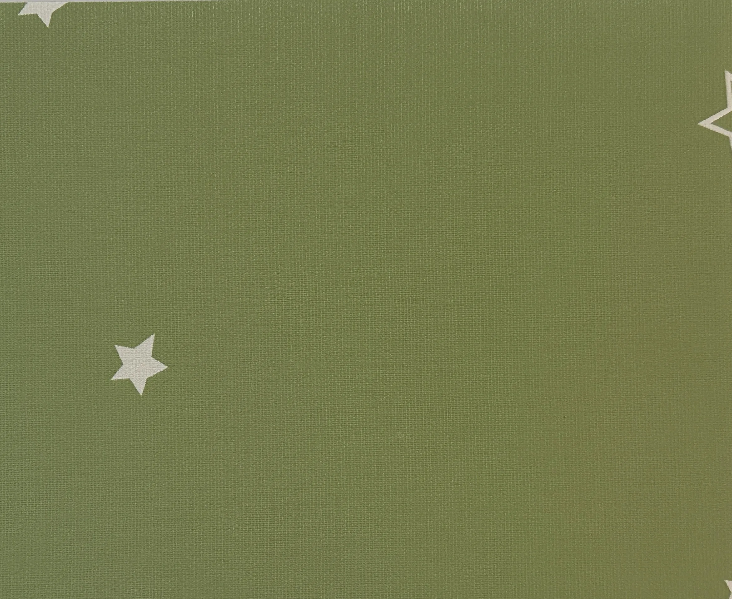 Star Outline - Green